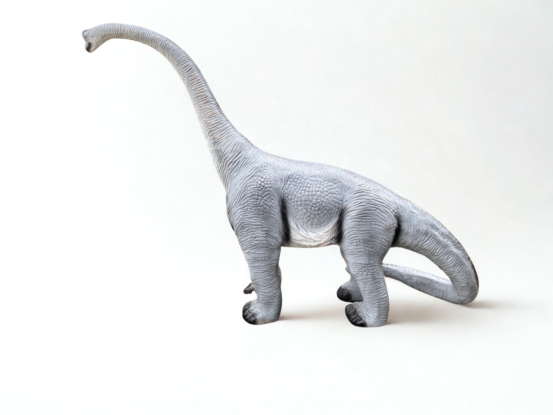 Dinó hosszú nyakú